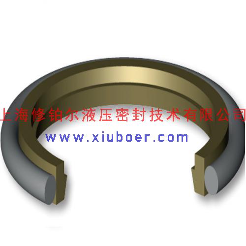 轴用斯特封 GSJ